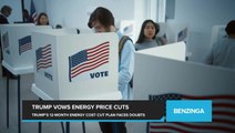 Trump Pledges to Cut Energy Costs in Half Within 12 Months. Here's Why Energy Experts Are Skeptical