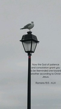 Romans 15:5 KJV