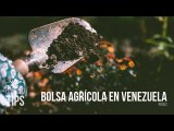 ¿Cuáles son las ventajas de la Bolsa Agrícola en Venezuela?
