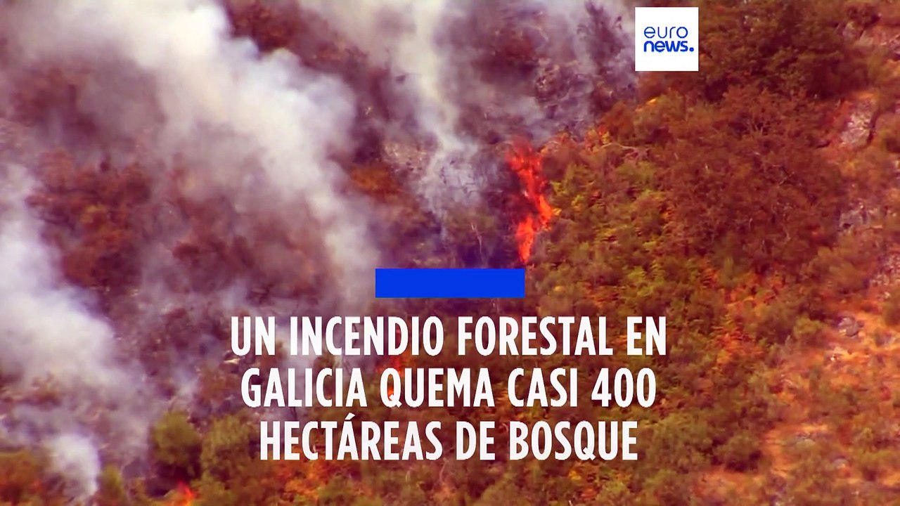 Un incendio forestal arrasa en Galicia y ha quemado casi 400 hectáreas ...