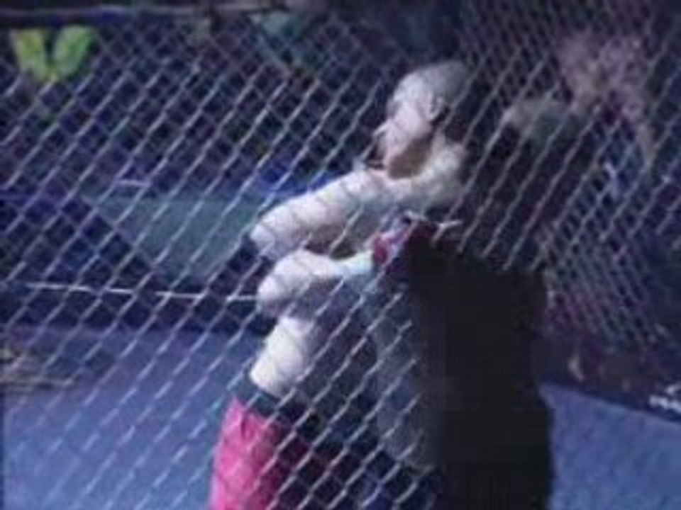 ANTHONY REA VS ALBERTI ARAMIS