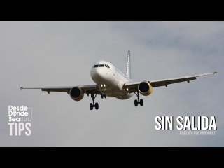 ¿Qué pasó con los familiares de Rocío San Miguel que estaban presos?