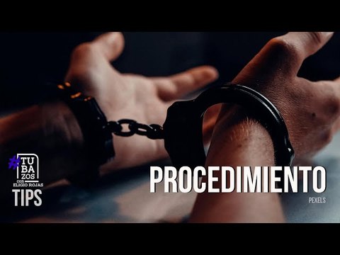 En Portuguesa: Procedimiento en el contrabando de especies protegidas en Venezuela