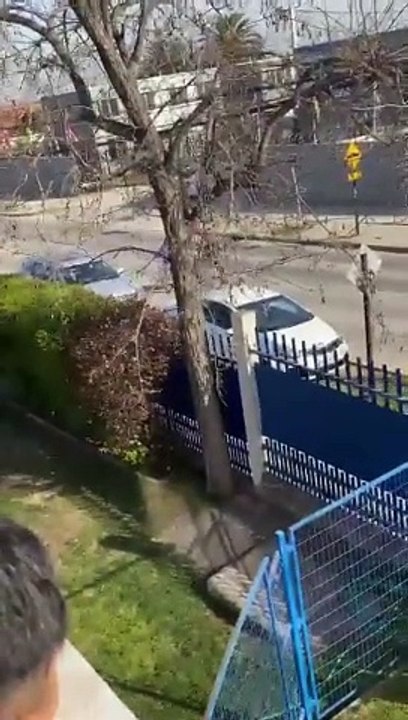 Pelea colegio Puente Alto