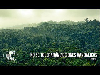 Скачать видео: Minería ilegal en Bolívar: 2500 evacuados y casas improvisadas de la delincuencia organizada