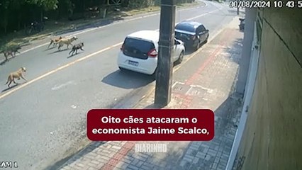 Economista é atacado por oito cães na praia
