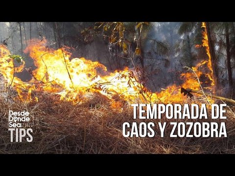 No quieren ir a elecciones: Oposición desata planes desestabilizadores y conspiraciones en Venezuela