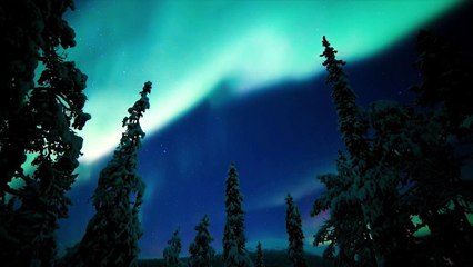 Il pianeta notturno a colori | show | 2020 | Official Trailer