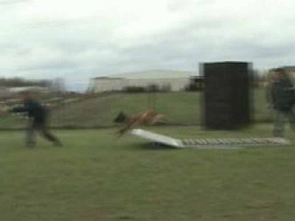 saut en longueur