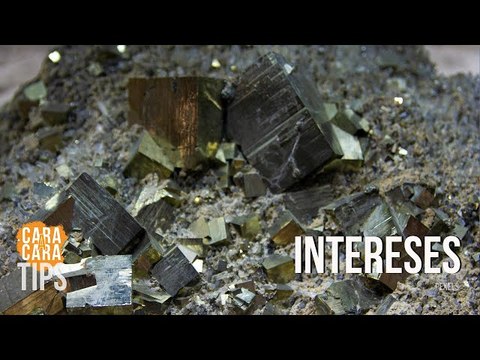 Estados Unidos no tiene amigos, tiene intereses