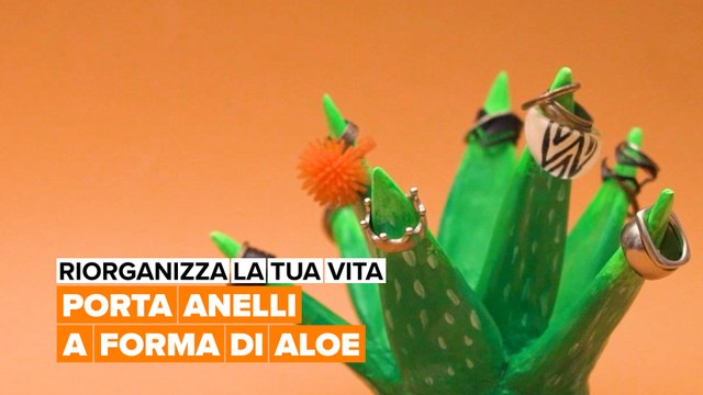Riorganizza la tua vita: Porta anelli a forma di aloe