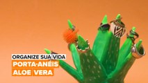 Organize sua vida: Porta-anéis Aloe Vera