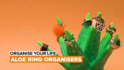 Organise your life: Aloe ring hanger