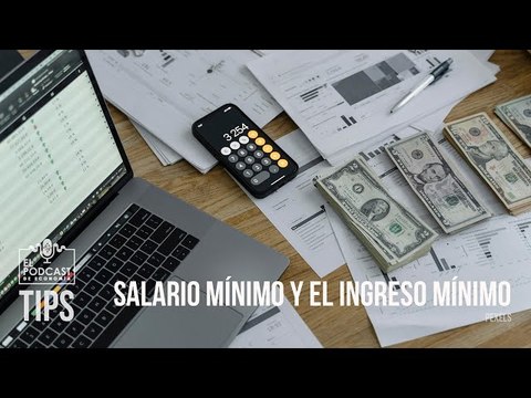 ¿Cómo se componen el salario mínimo y el ingreso mínimo?