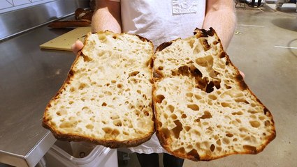 The Rise of Ultra-Processed Bread: How It Took Over America 🍞