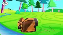 Let´s Go Camping with Animal Toys Story for Kids from Steve and Maggie _ Monsters for Kids(360P)_1