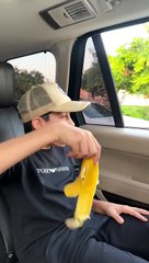 Simple Rules for kids in the Car