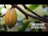 ¿Cómo se vive en el campo venezolano?: La verdad sobre el 