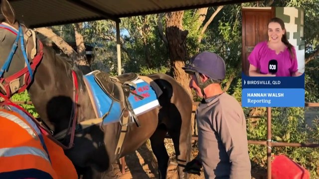 National Cabinet agrees to $4.7 billion plan to fight domestic and family violence