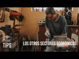 ¿Cuáles son los otros sectores económicos del país se que pueden fortalecer?