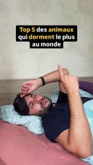 Et toi, c’est quoi ton record de sommeil  ?