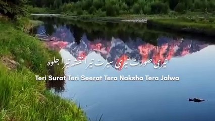 Salam Aye Amina Ke Laal 12 RabiUlAwal video  #whatsappstaus #rabiulawalstatus #islam #islamicshorts #islamicvideo #islamicthoughts #viral #trends #foryou
