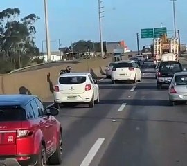 Vídeo flagra briga de trânsito que terminou em morte na BR-101, no Sul de SC