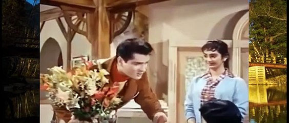 Jungalee 1961 Shammi Kapoor Saira Banu