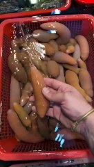 What on earth is this, does anyone know?