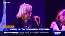 20 chansons de Renaud illustrées par des artistes contemporains dans une exposition intitulée 