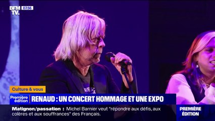20 chansons de Renaud illustrées par des artistes contemporains dans une exposition intitulée "Des mots et des images" au profit de l'Unicef