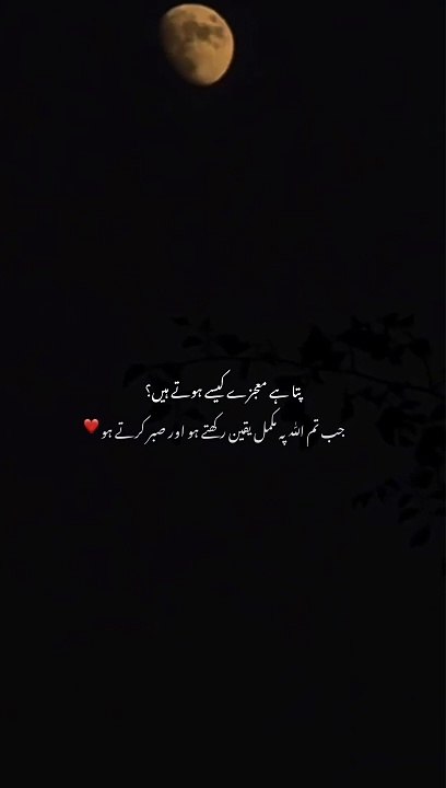 Trust and patience