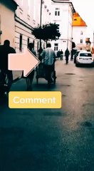 Resolution de ´a rentree : je mets du vert dans ma vie !Comment transporter un arbre ?