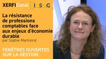 La résistance de professions comptables face aux enjeux d'économie durable [Sophie Marmorat]