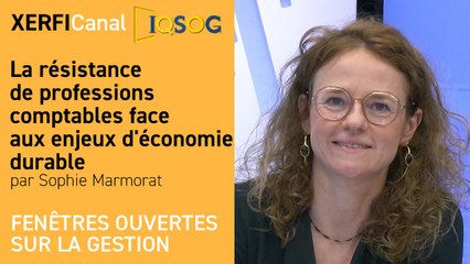 La résistance de professions comptables face aux enjeux d'économie durable [Sophie Marmorat]
