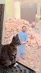 lv_7366060058985188626_20240817130934