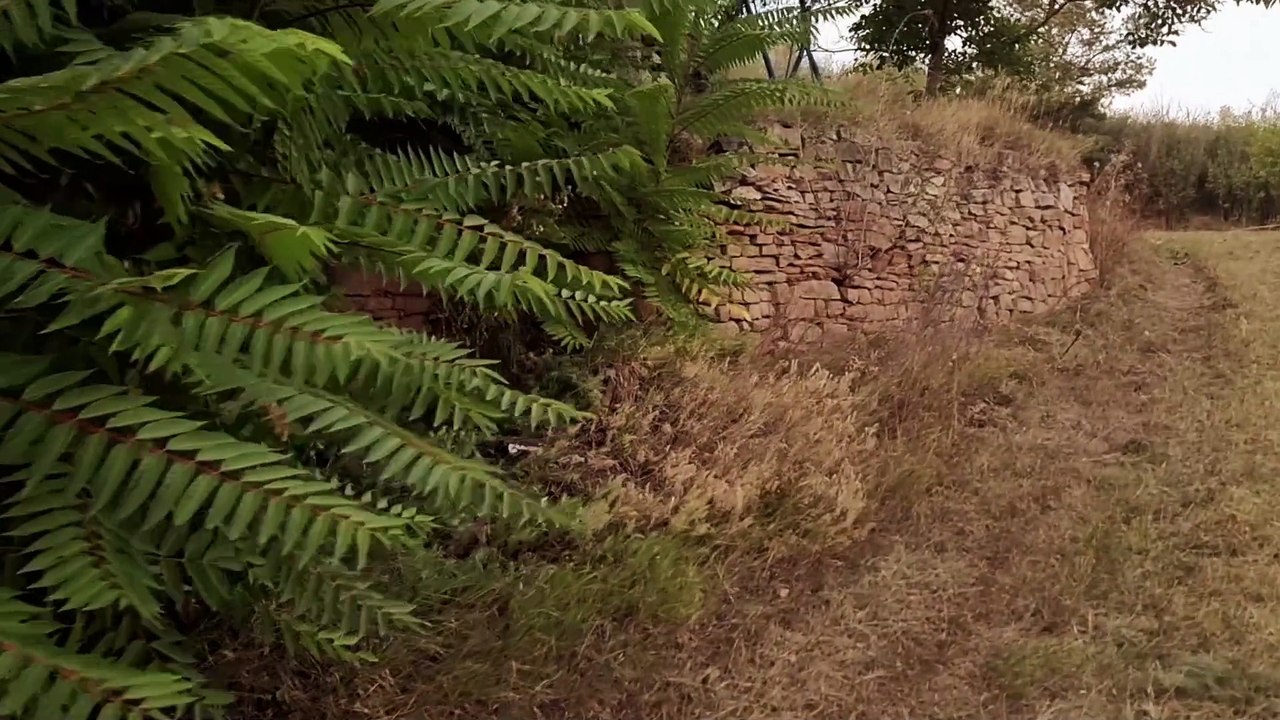 + + EINMALIGES GRUNDSTÜCK + + BERGE AM SALZIGEN SEE + + JUNG VAN HØLM + + II