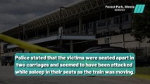 Horrific Killing on Chicago Commuter Train