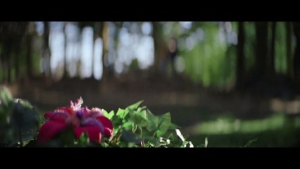 ¡Mira el Impactante Tráiler de 'Color Out of Space'! 🌌