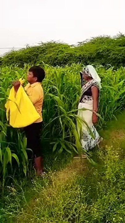 Dasi rajab family vlogs | dasi anti village vlogs | daily vlog #short #shorts  #rajabfamily #mayang