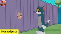 cartoon movie | cartoon movie in english | youtube tom and jerry | song tom and jerry | cat and mouse mayhem