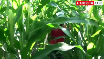 Diyarbakır'da kaybolan kız çocuğu için arama çalışmaları sürüyor