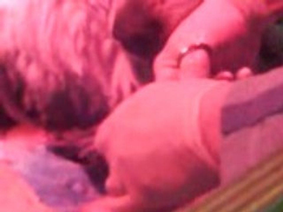 Naissance