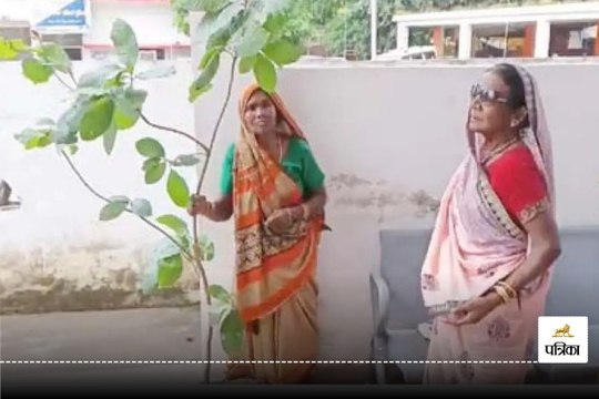 Bilaspur News: पेड़ कटने से नाराज हुई वृद्धा, डाली लेकर पहुंची थाने, बोली - 12 साल से मैंने बेटे की तरह पाला था... Video