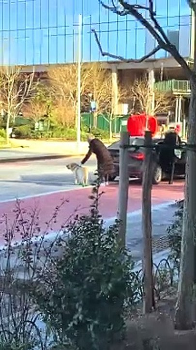 NYC Sunday in my life #shorts - YouTube