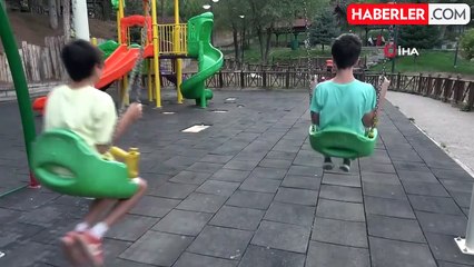 Sivas'ta başıboş köpek şiddetinde belediyeden şaşırtan savunma