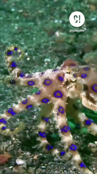 Vous avez peur de l'eau ? Vous avez peut-être raison ..