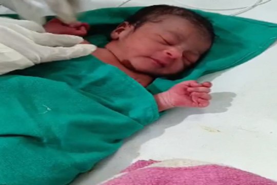 Kanker News: लावारिस हालात में मिला नावजद शिशु, पुलिस जांच में जुटी, देखें वीडियो...