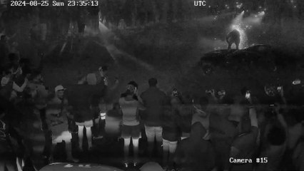 'Wannabe boy racer' filmed doing doughnuts near Buckingham Palace