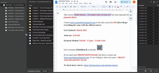 Todd Toback – No Limits Sales System 3.0
